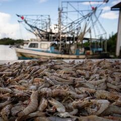 The Indicator from Planet Money