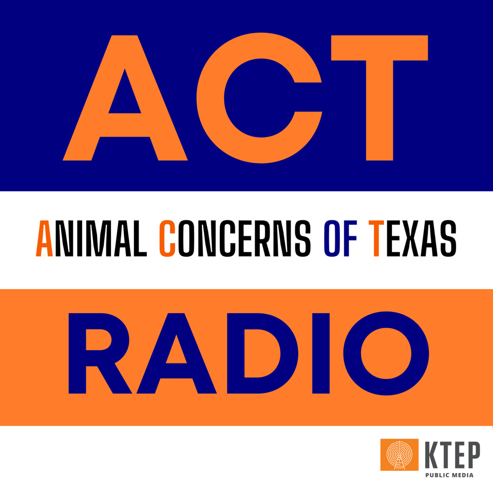 ACT Radio Podcast