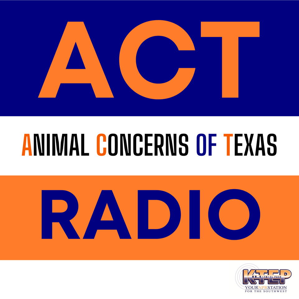 ACT Radio Podcast