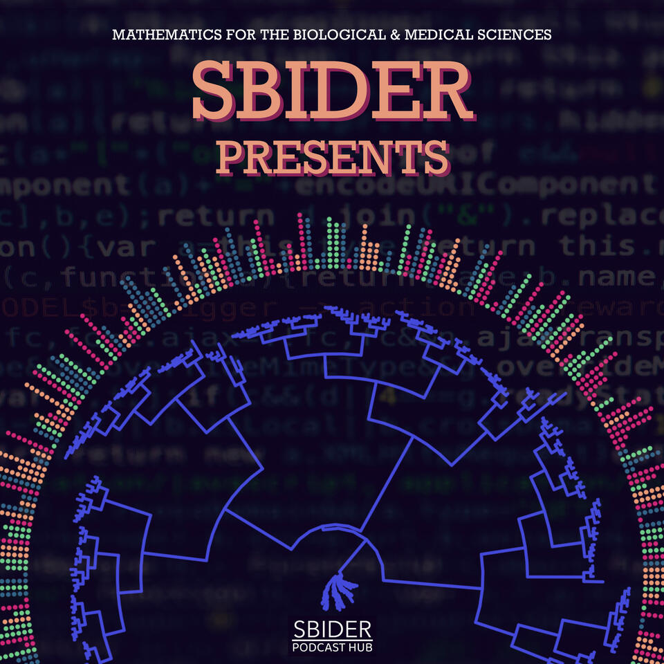 SBIDER presents