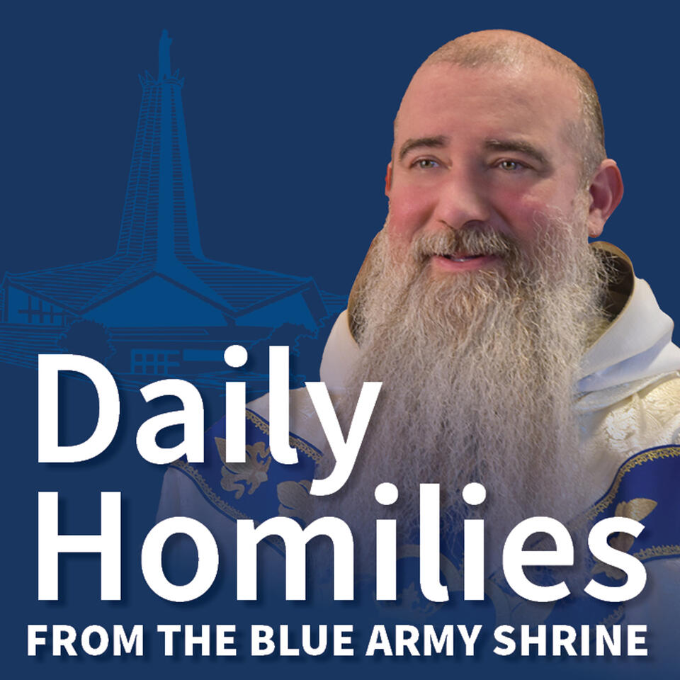 Daily Homilies