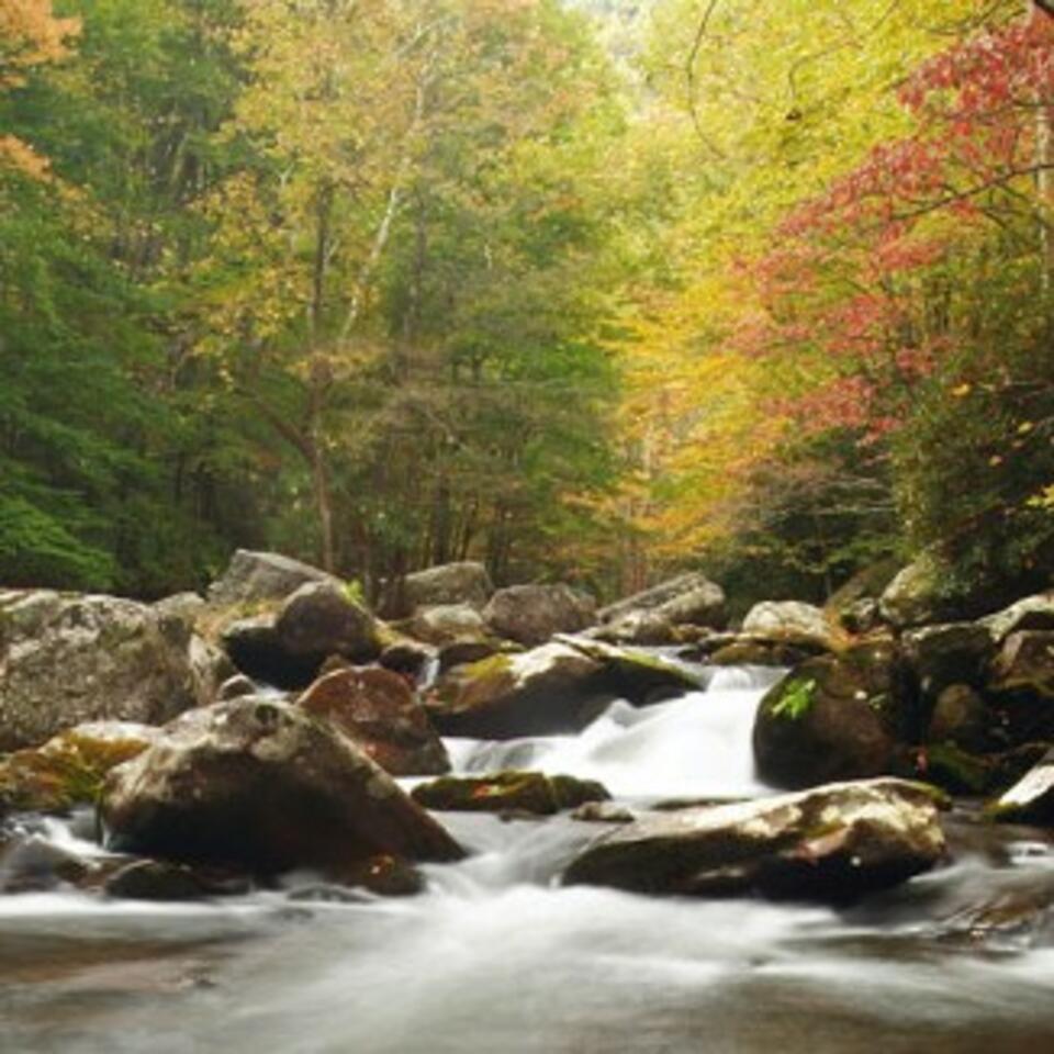 Streams of Faith, Hope, and Love