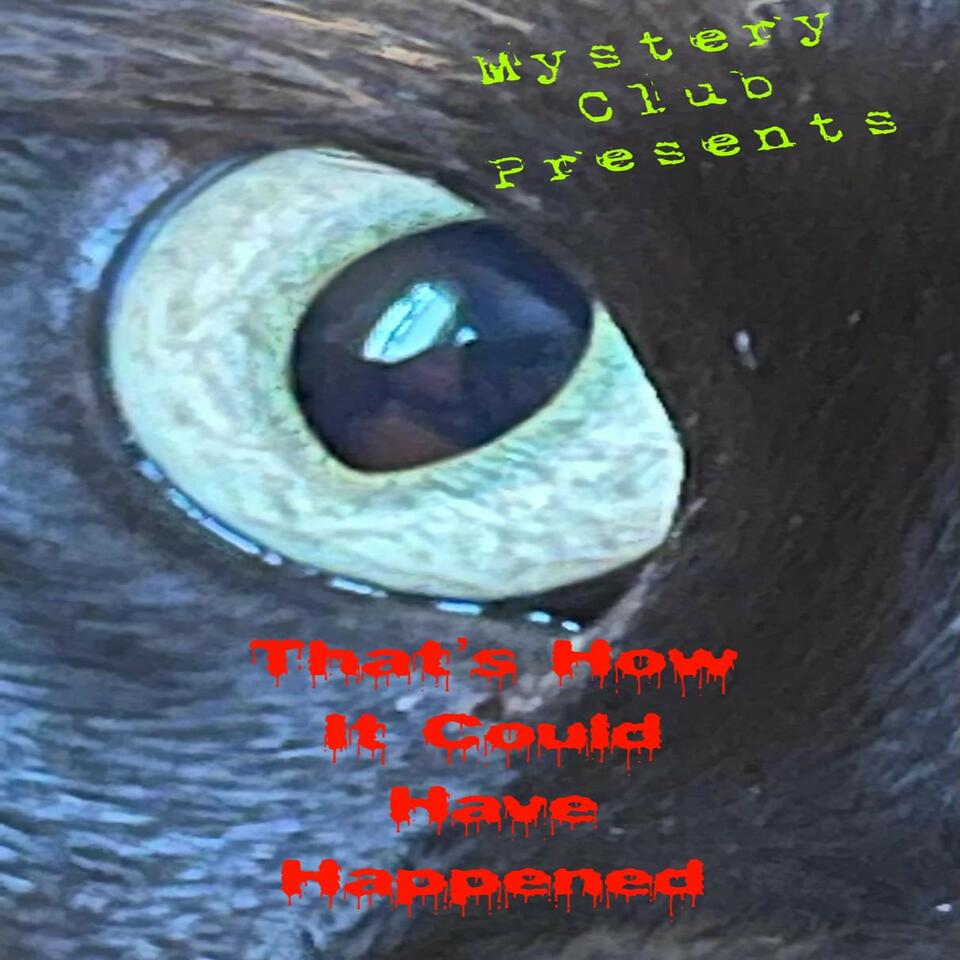 Mystery Club Presents: That’s How It Could Have Happened
