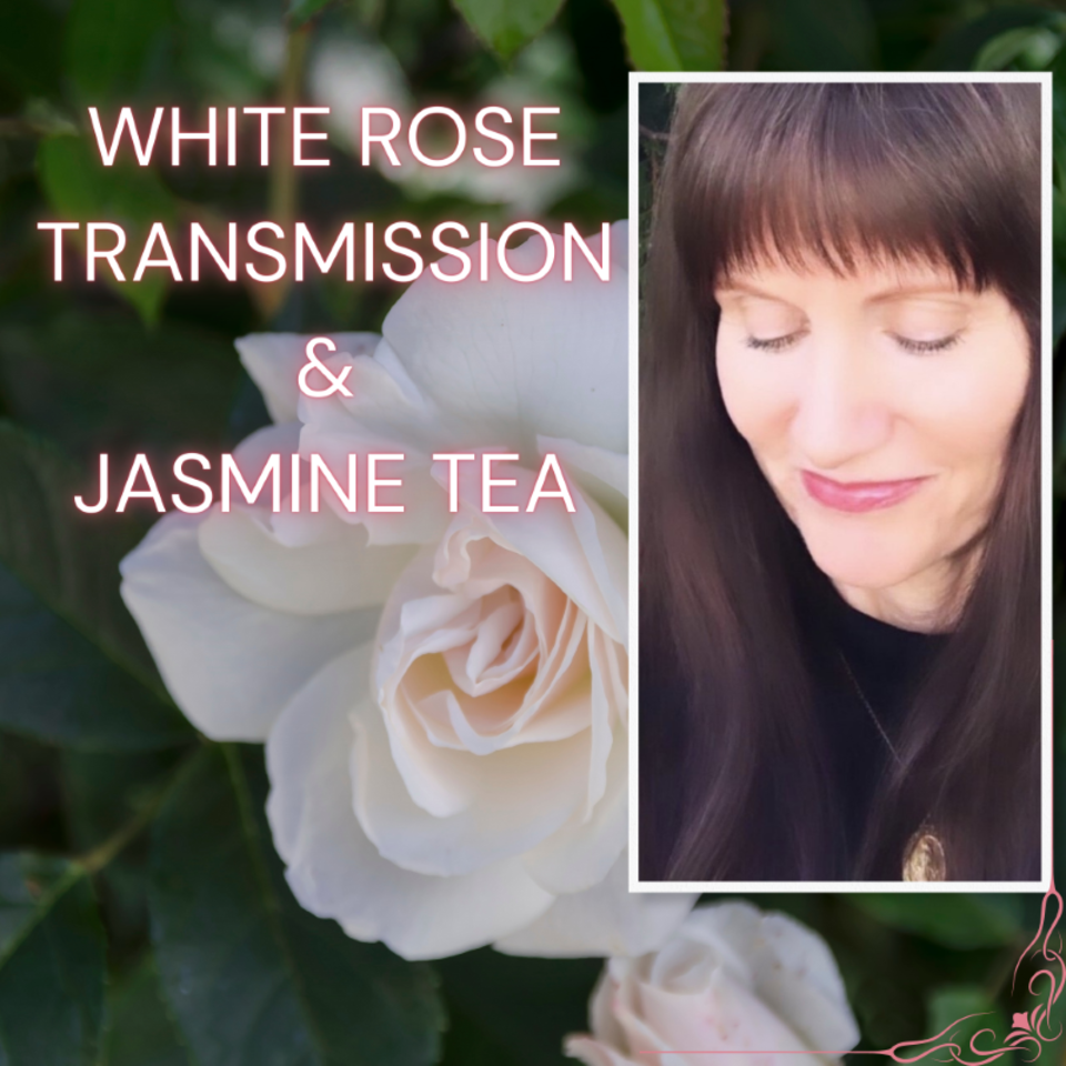 WHITE ROSE TRANSMISSION & Jasmine Tea Podcast
