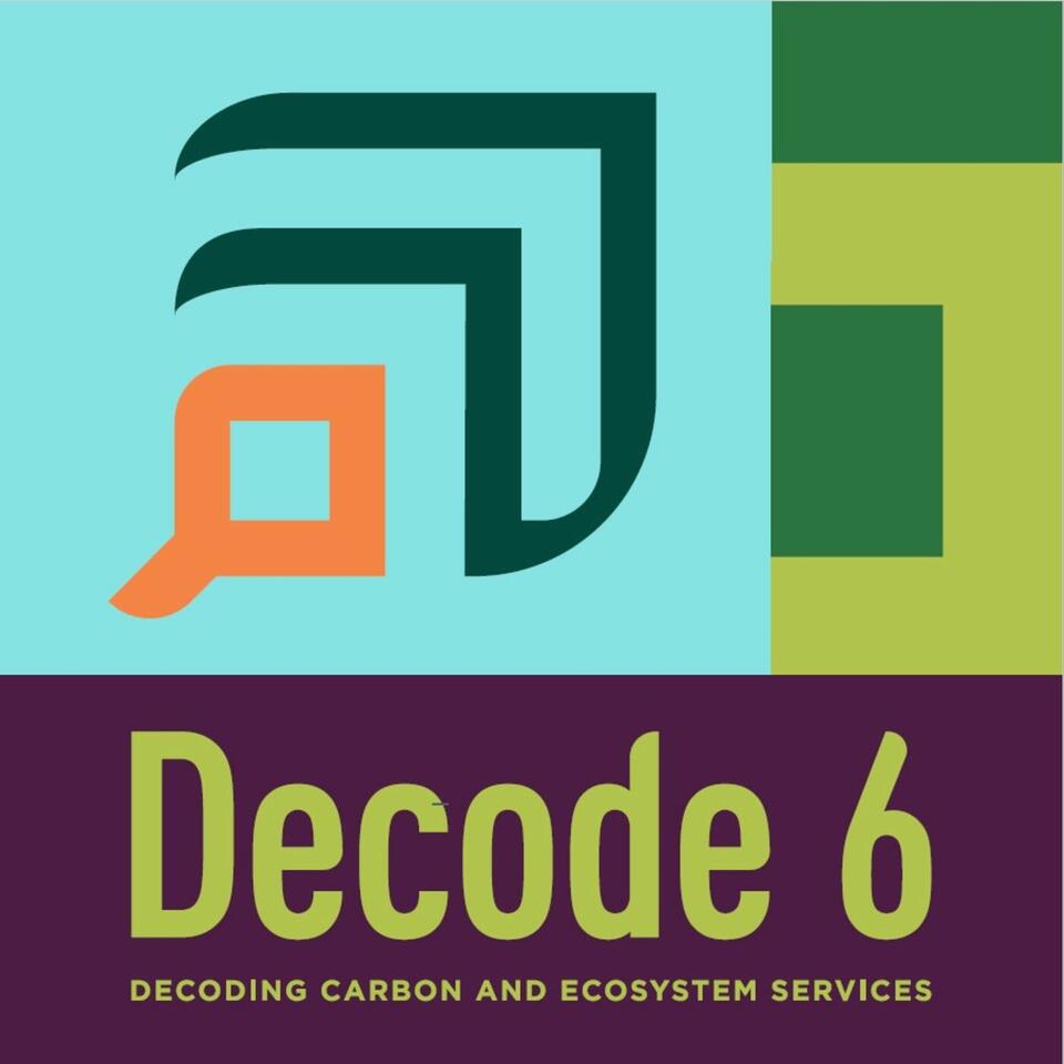 Decode 6