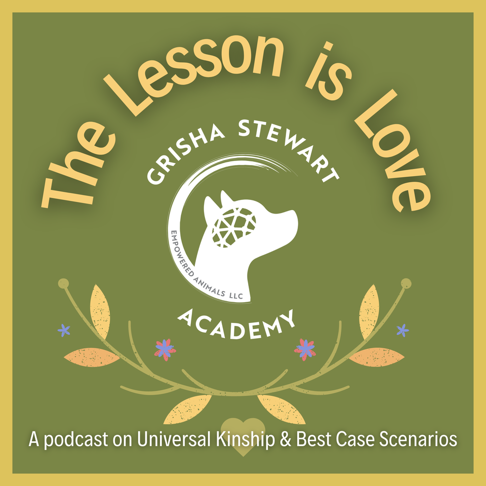 The Lesson is Love - From The Grisha Stewart Academy