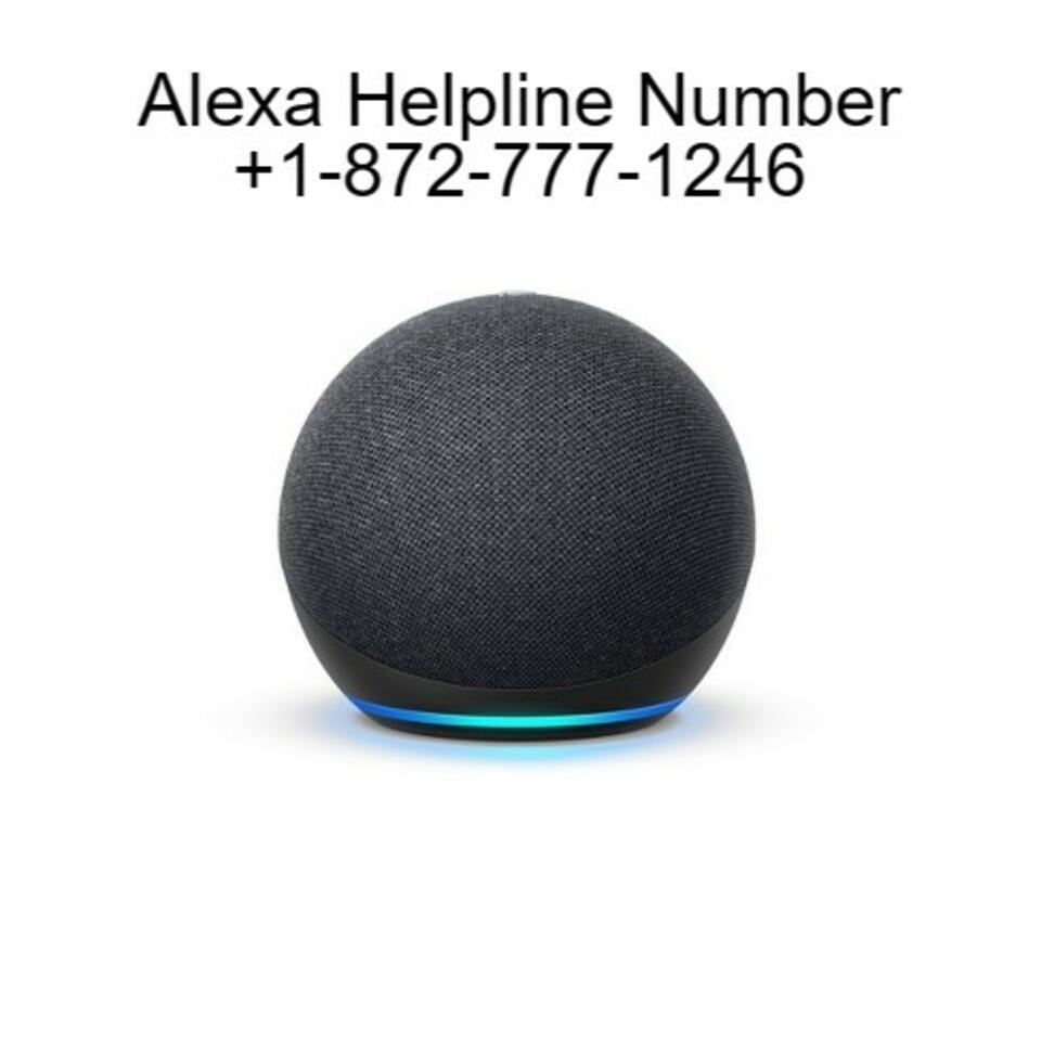 How to Set Up and Use Alexa Echo: Quick Guide For Alexa Echo Setup