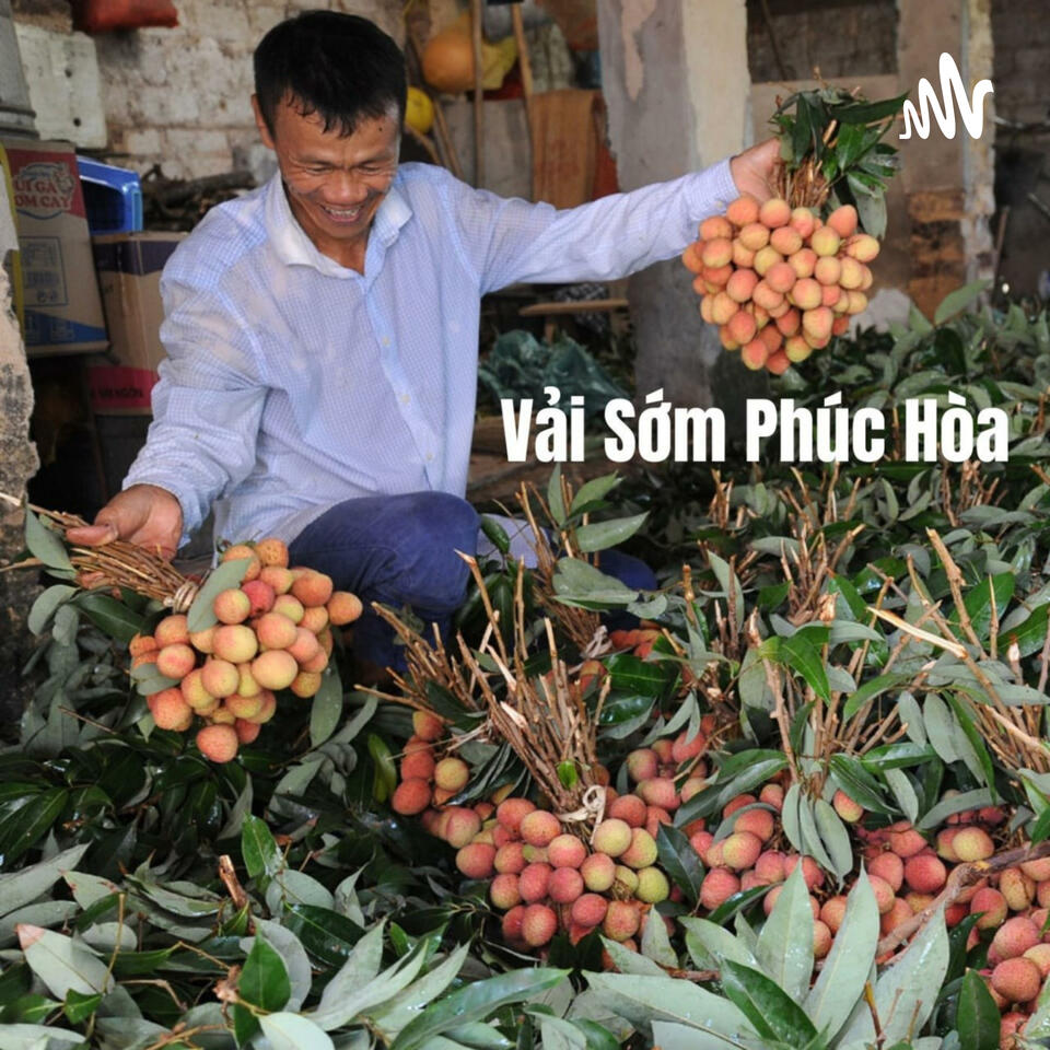 Vải Sớm Phúc Hòa