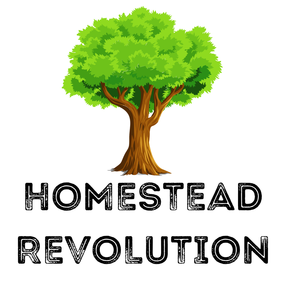 The Homestead Revolution - Building a Sustainable Future
