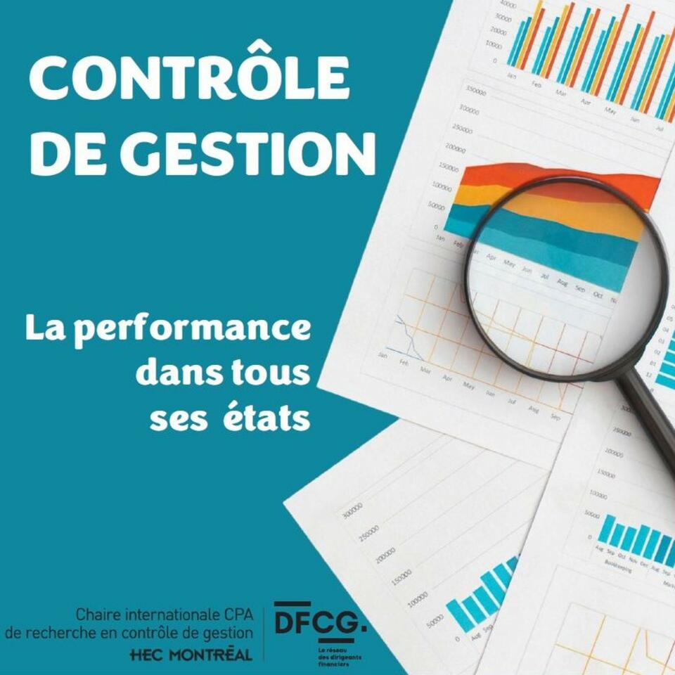 Contrôle de gestion. La performance dans tous ses états