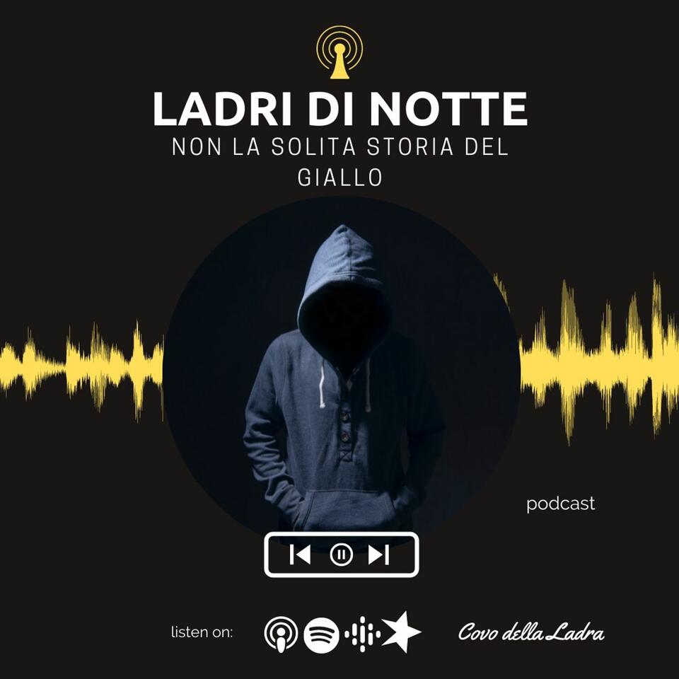 Ladri di Notte. Non la solita storia