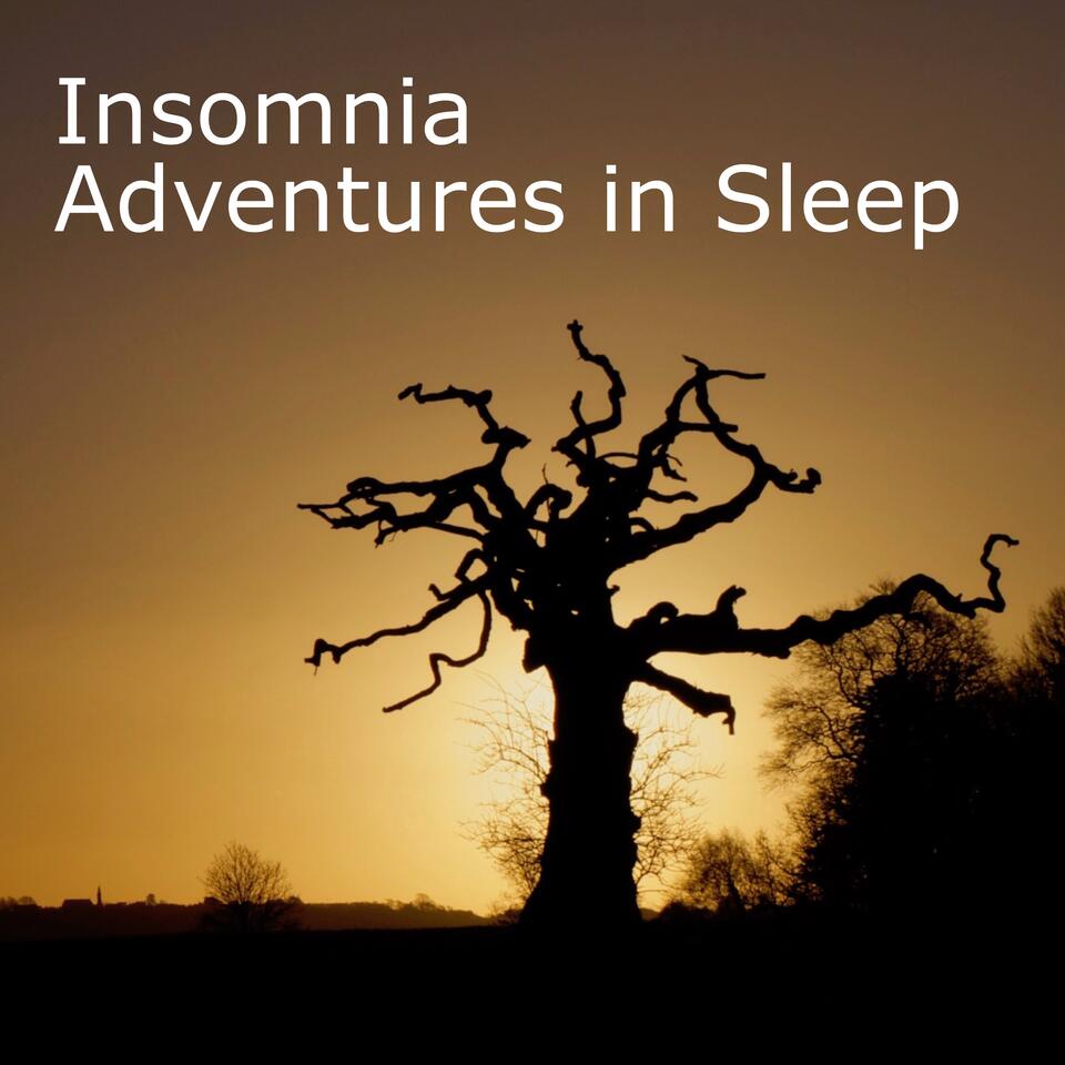 Insomnia Adventure in Sleep