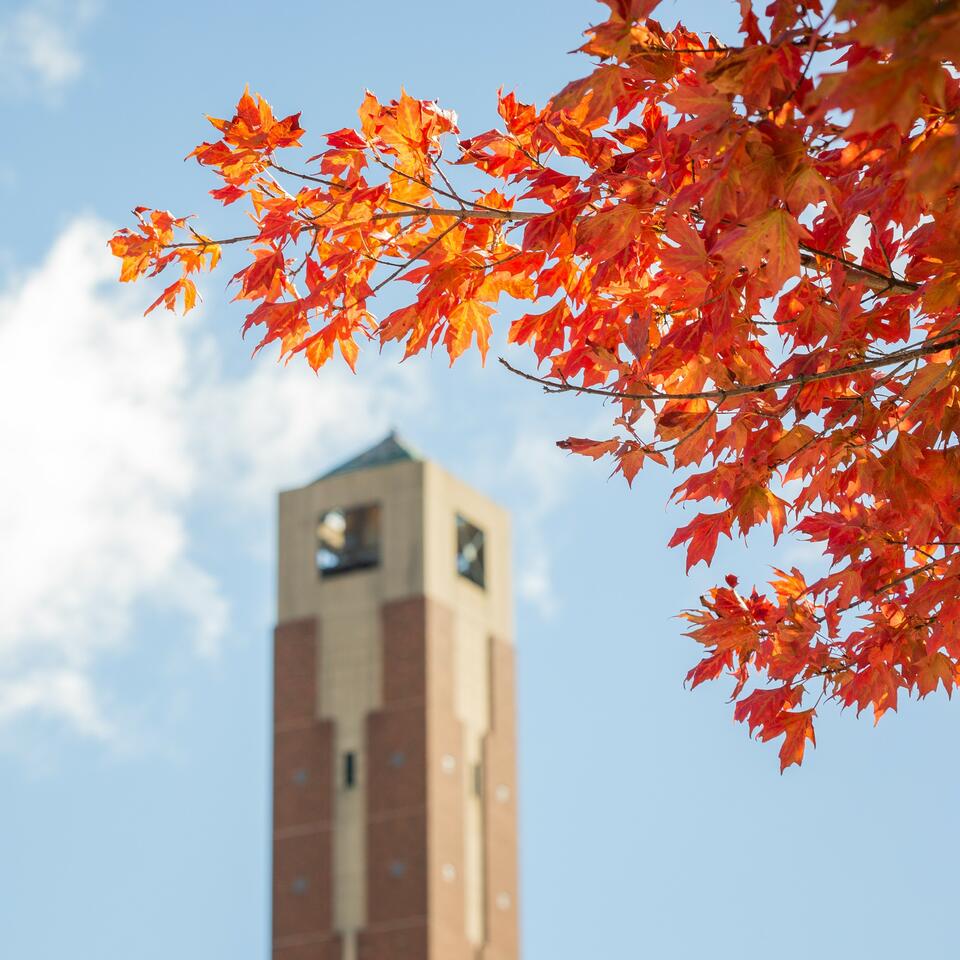 Appalachian Today