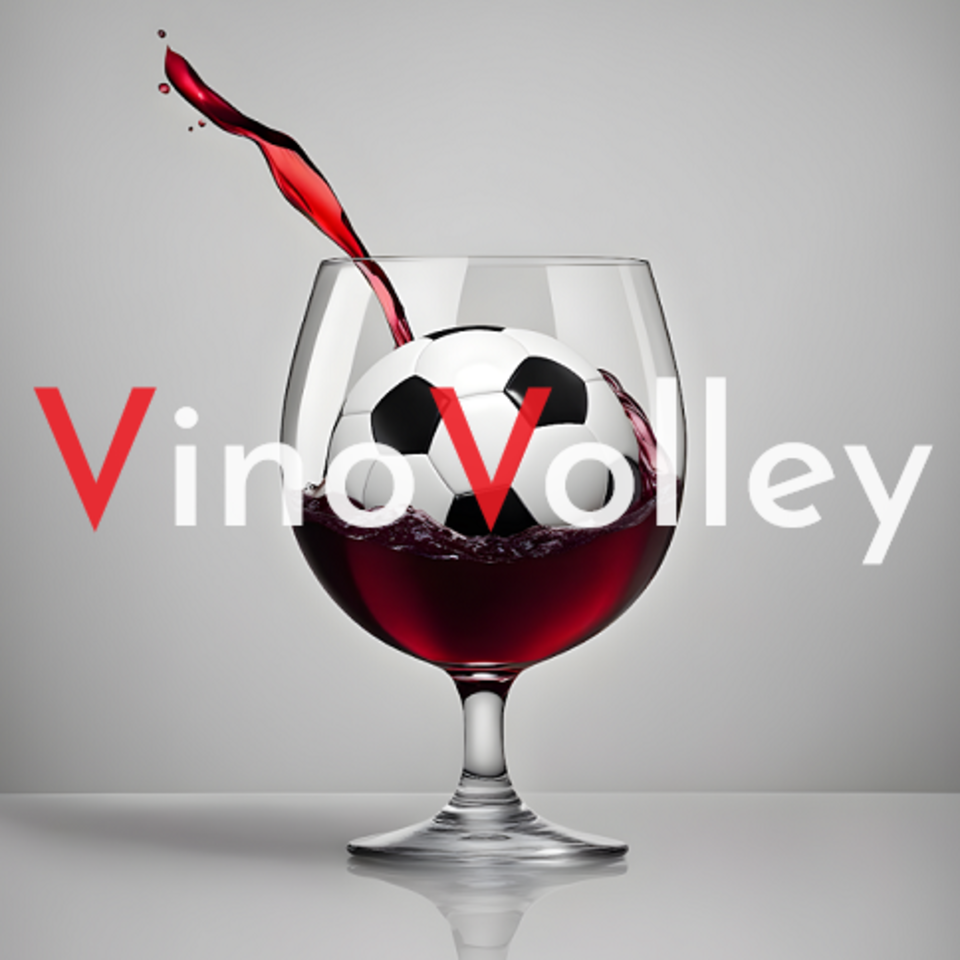 VinoVolley