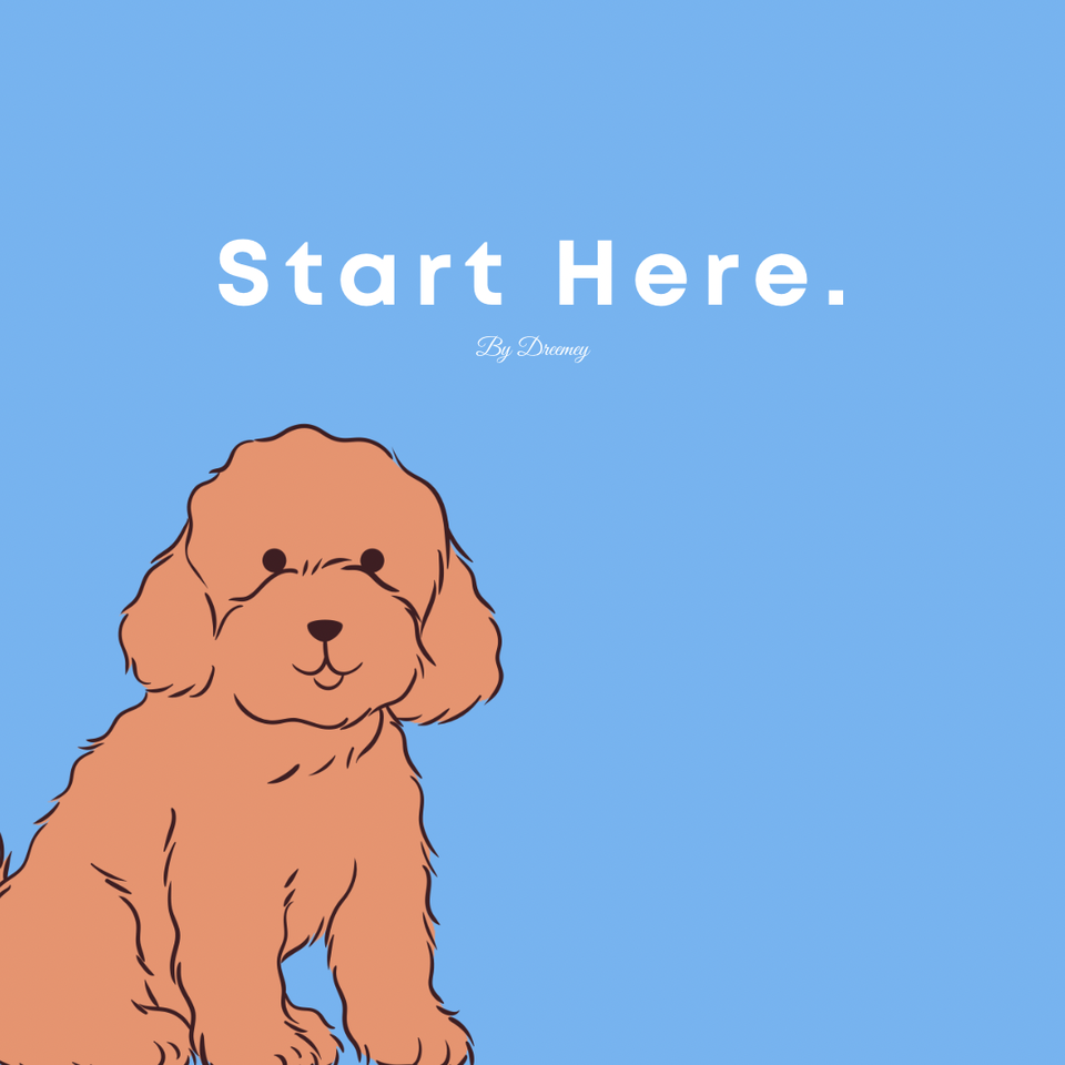 Start Here.
