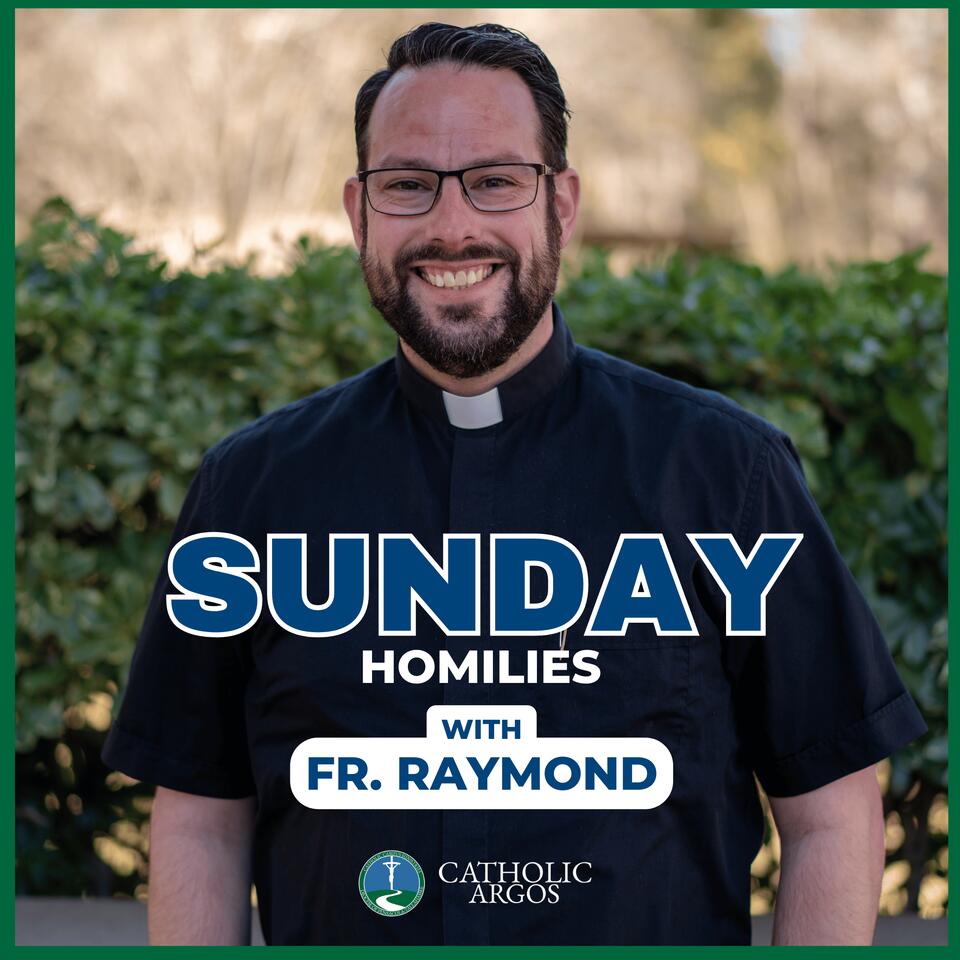 Fr. Raymond: Sunday Homilies