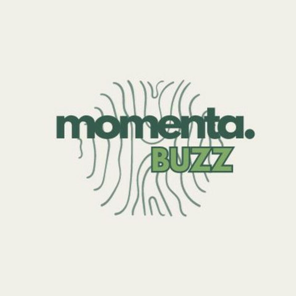 Momenta Buzz