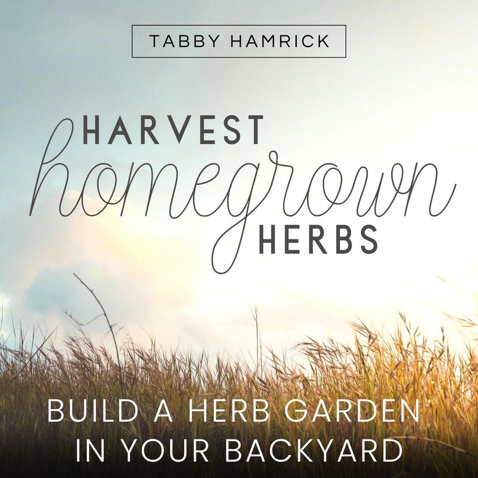 Harvest Homegrown Herbs | Raised Garden Bed, Simple Plan, Self Sufficient, Pest Control, Herbal Tea