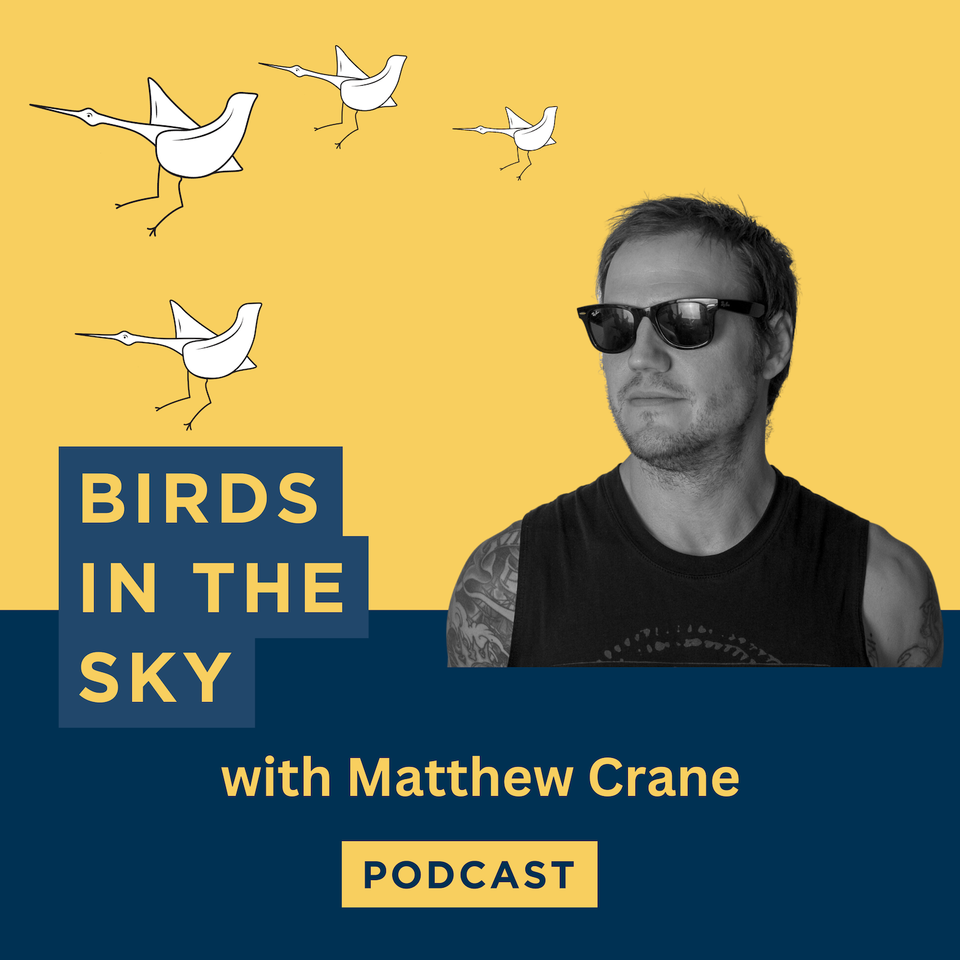 Birds in the Sky