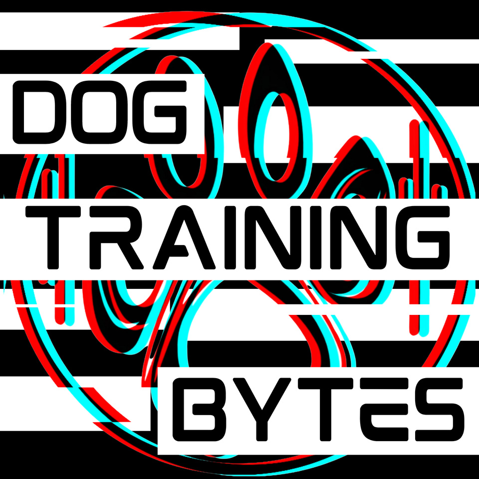 Dog Training Bytes