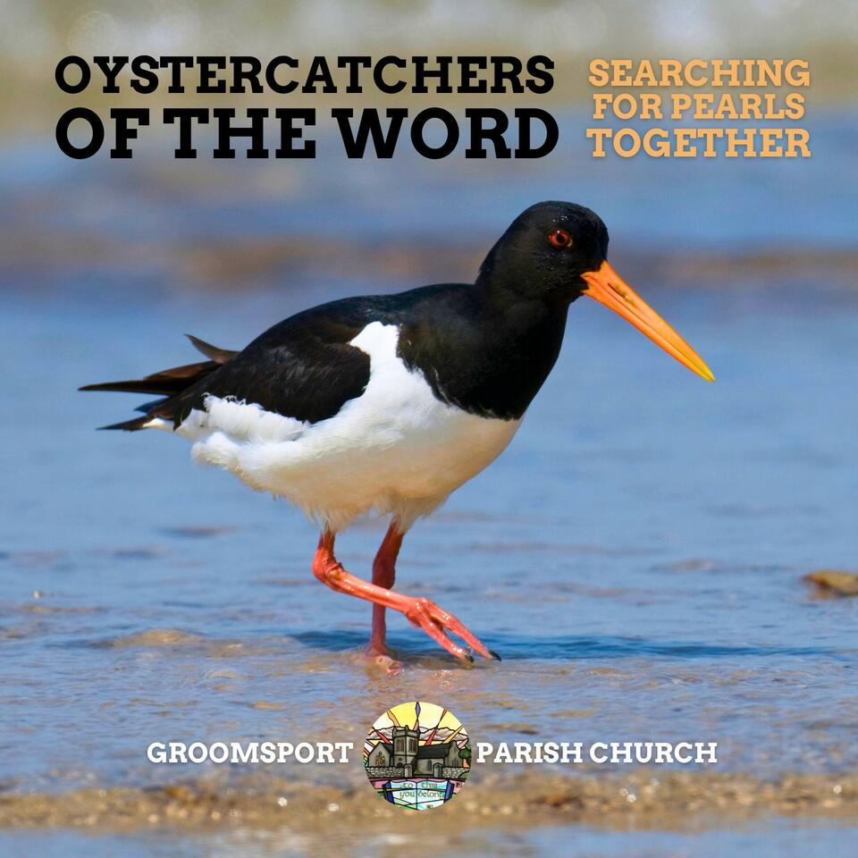 Oystercatchers of the Word