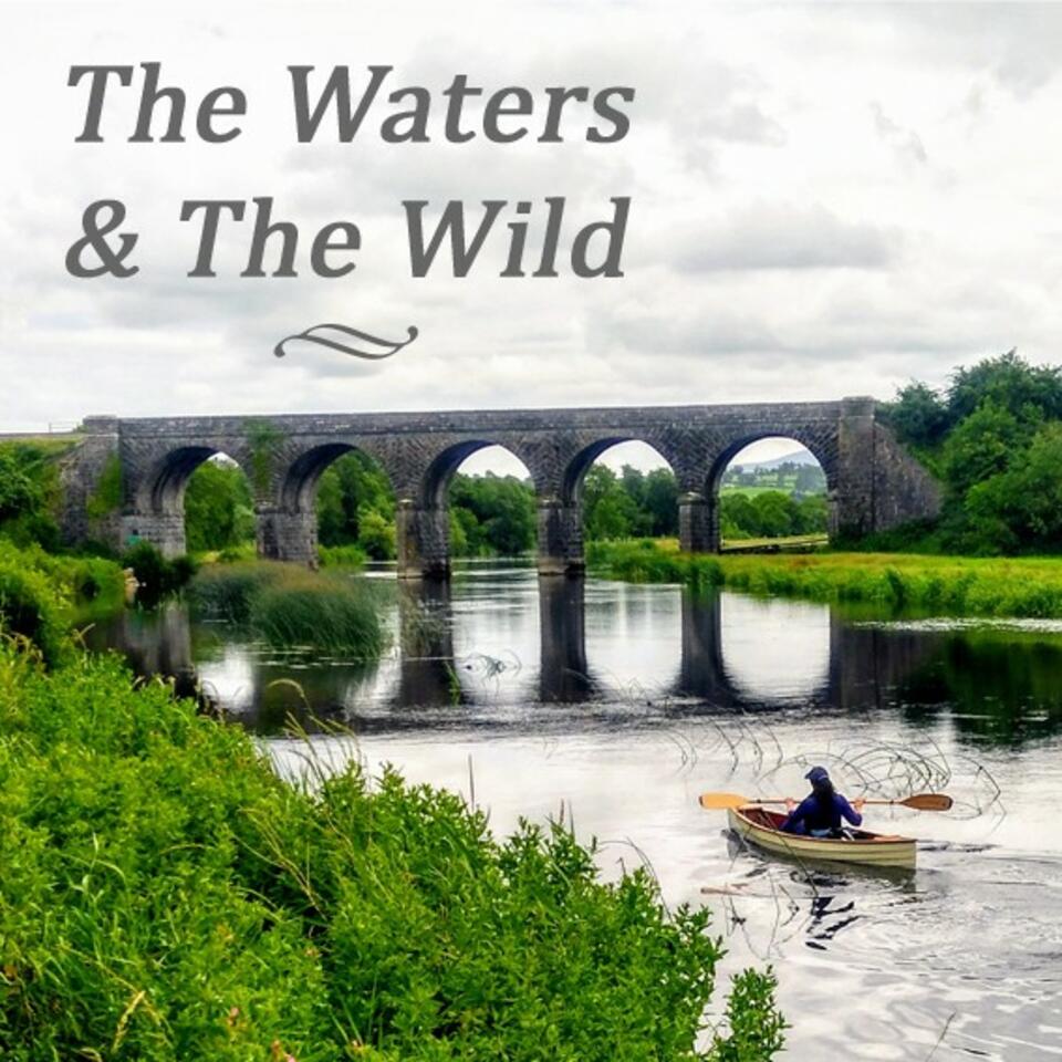 The Waters And The Wild