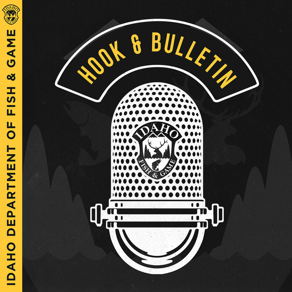 Hook & Bulletin