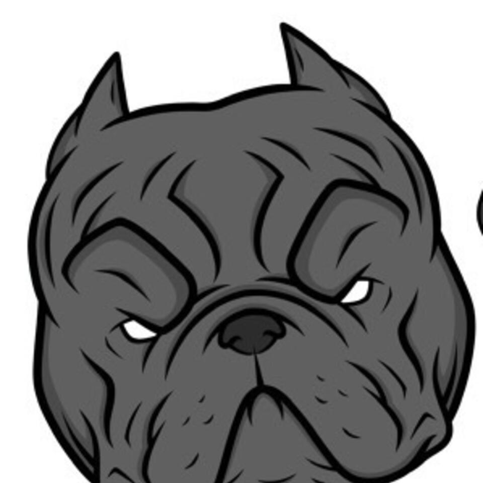 The Bully Spittin Podcast