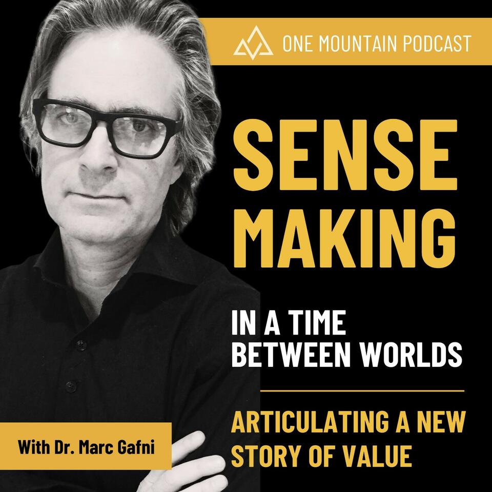 Sensemaking in a Time Between Worlds: A New Story of Value