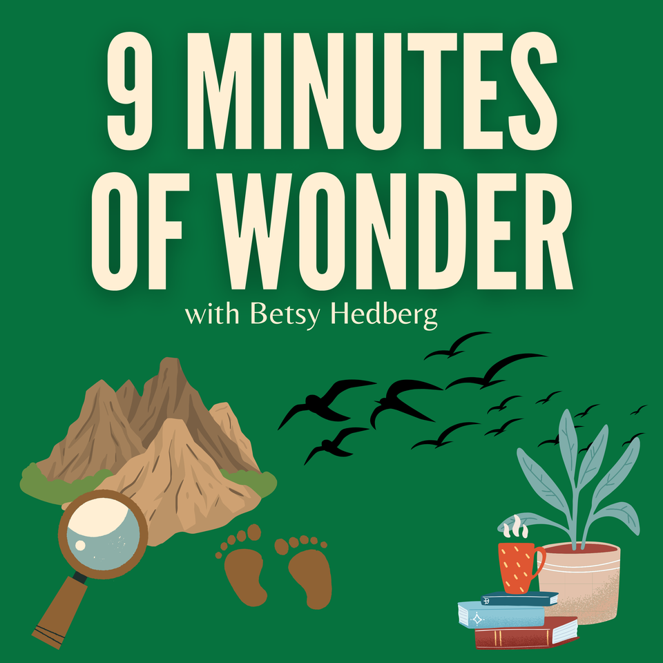 9 Minutes of Wonder