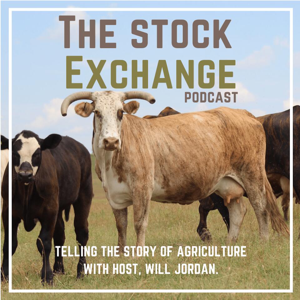 The Stock Exchange Podcast