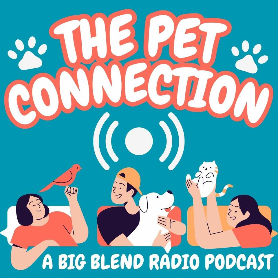 The Pet Connection