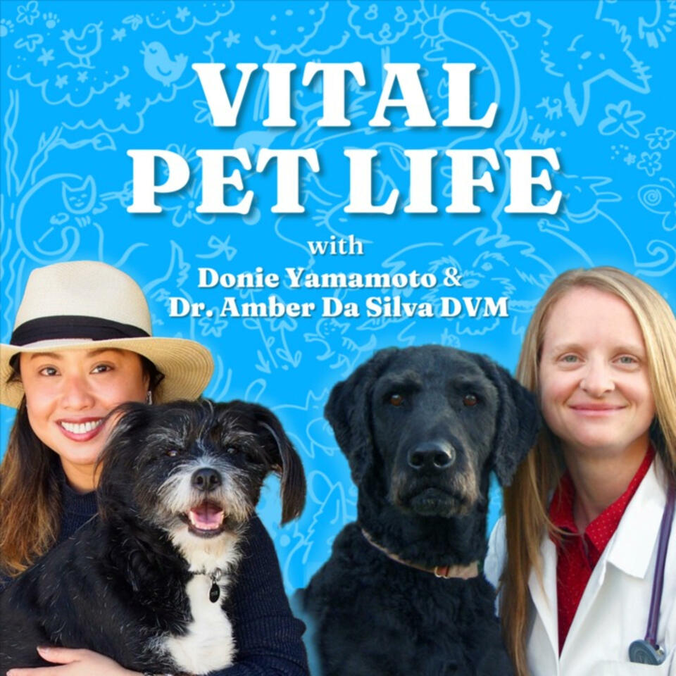 Vital Pet Life Podcast