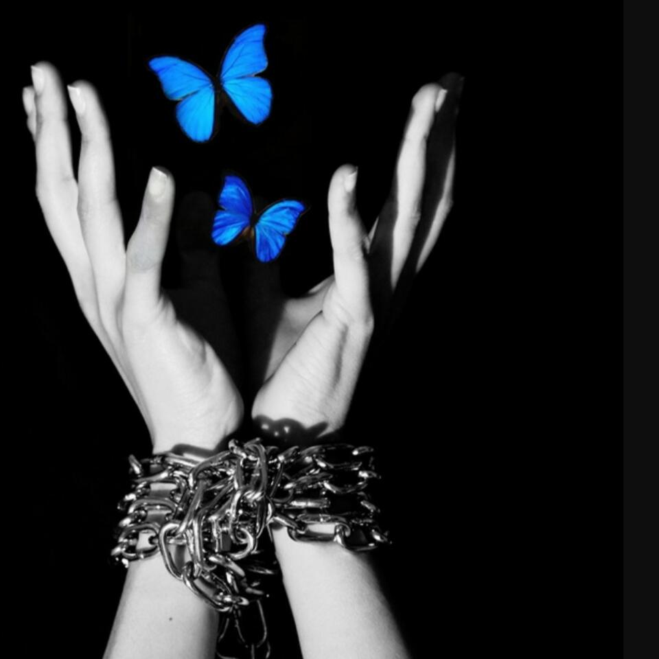 Fierce Butterfly