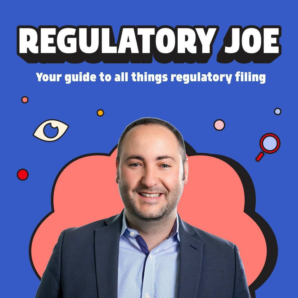 Regulatory Joe