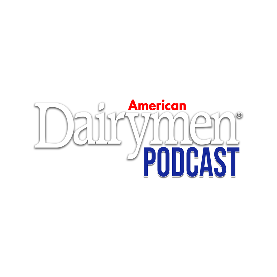 American Dairymen