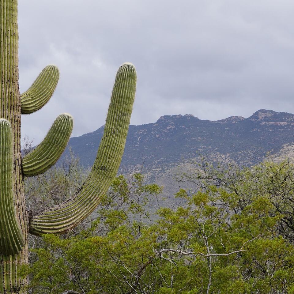”The History of Tucson Audiobook”