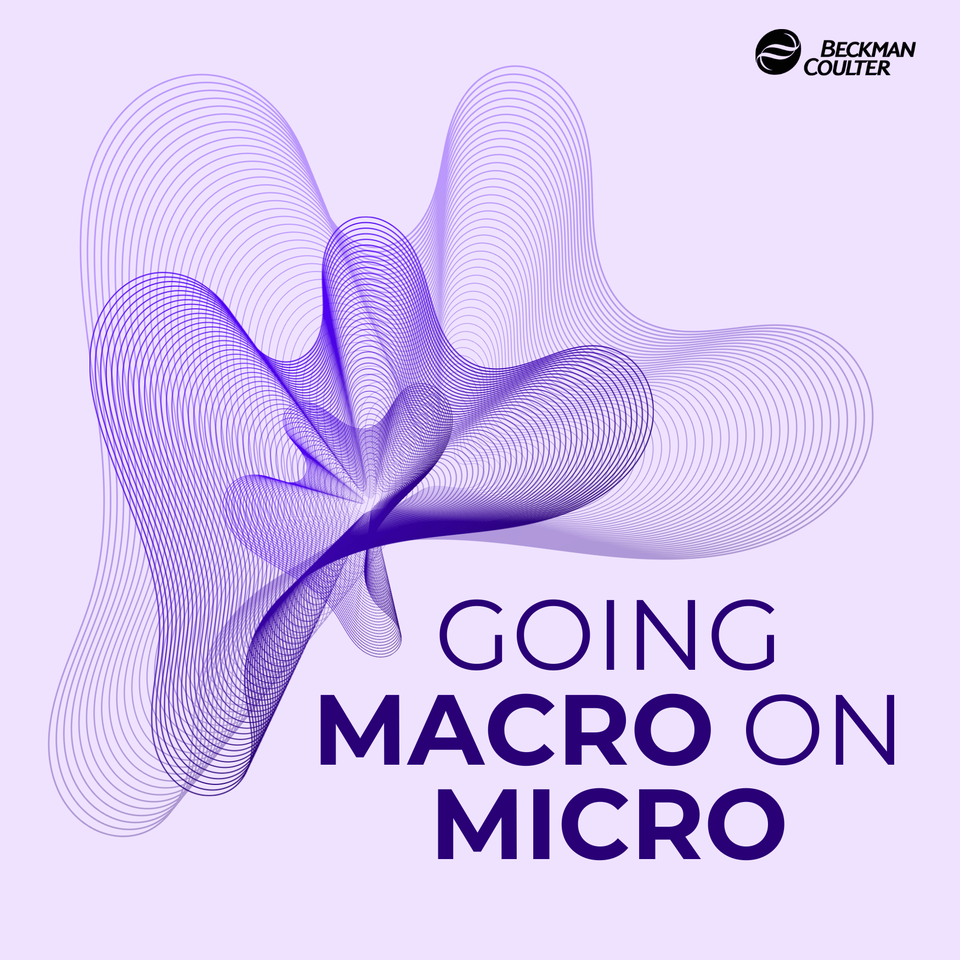 Going Macro on Micro