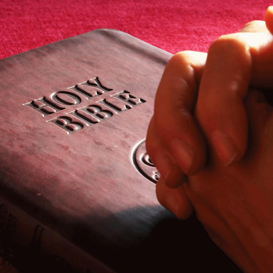 ESV Bible Reading with Dad (easy to understand...and fun!)