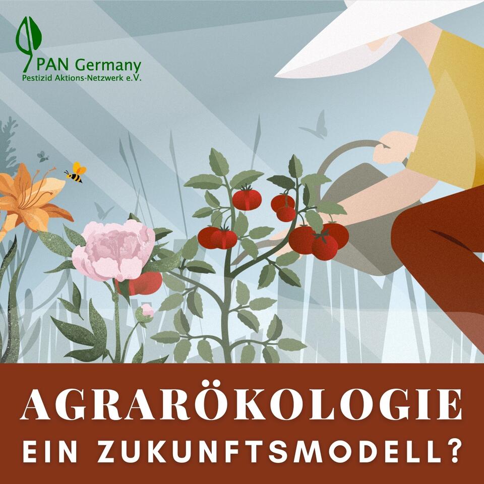 Agrarökologie: ein Zukunftsmodell?