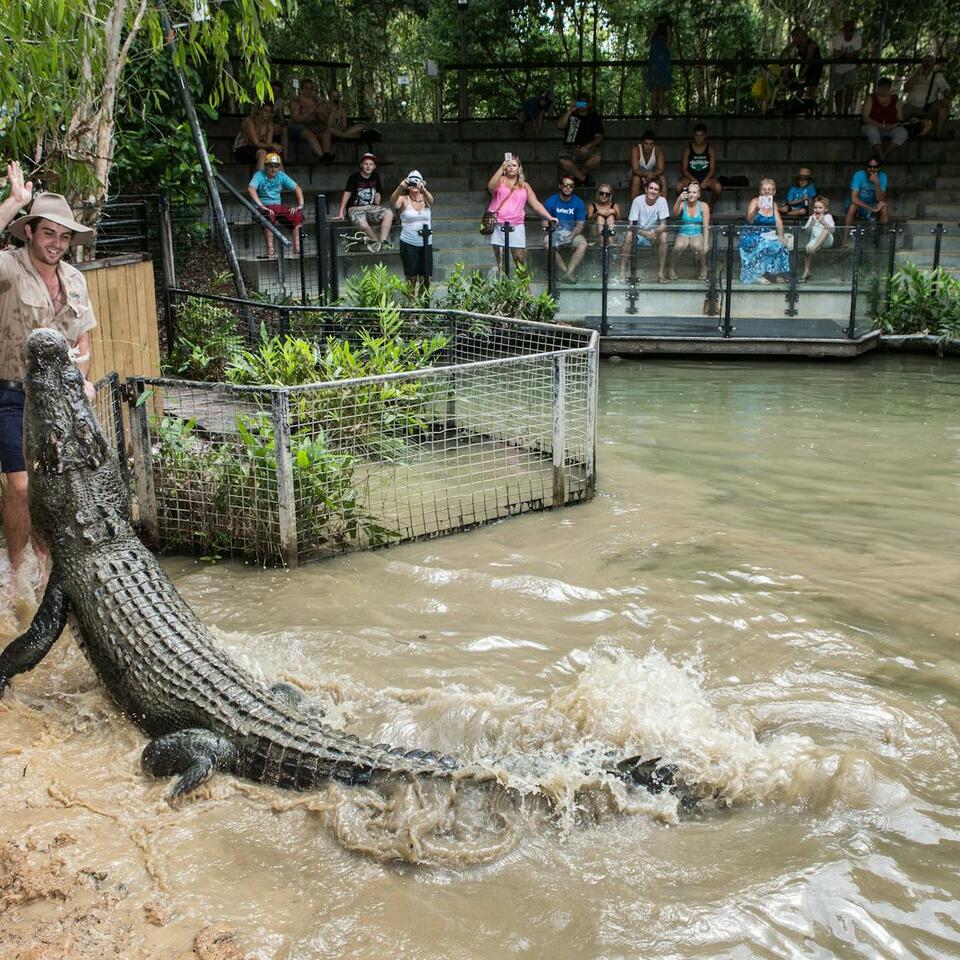 CROC BITES - Peter Jackson talks with the staff at Hartley’s Crocodile Adventure Park and Kuranda Bird World