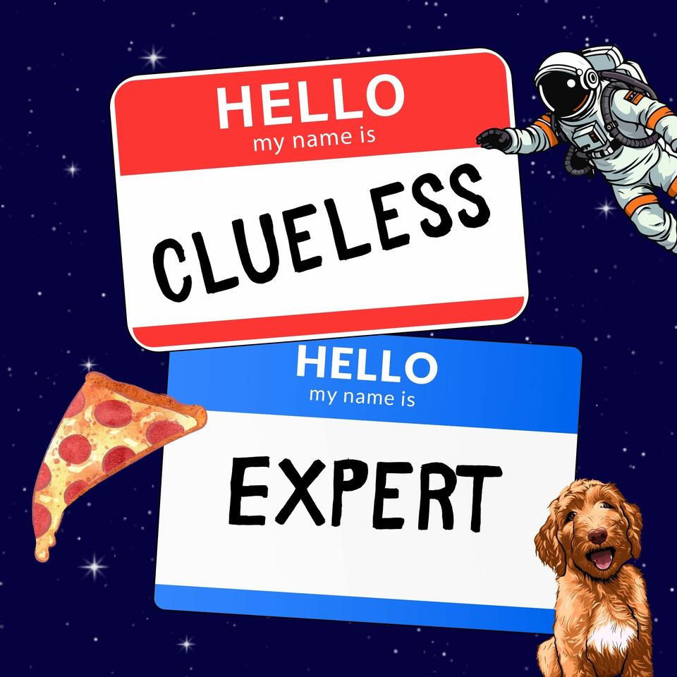 Clueless Expert