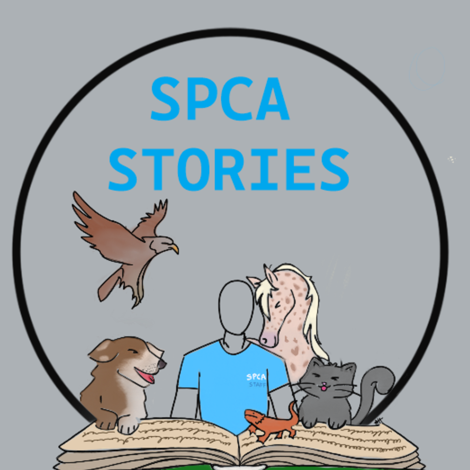 SPCA Stories