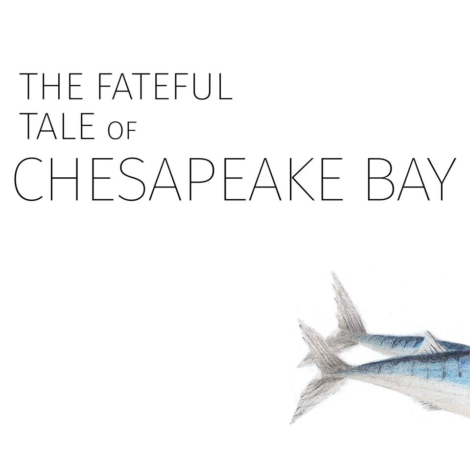 The Fateful Tale of Chesapeake Bay