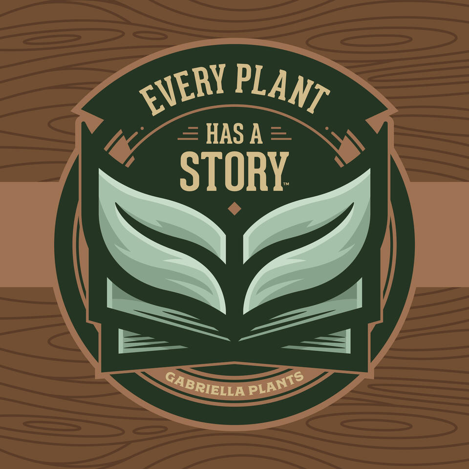 Every Plant Story | Gabriella Plants