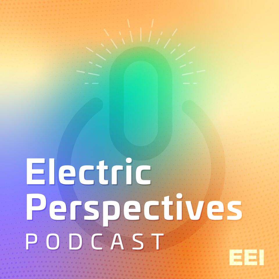 Electric Perspectives