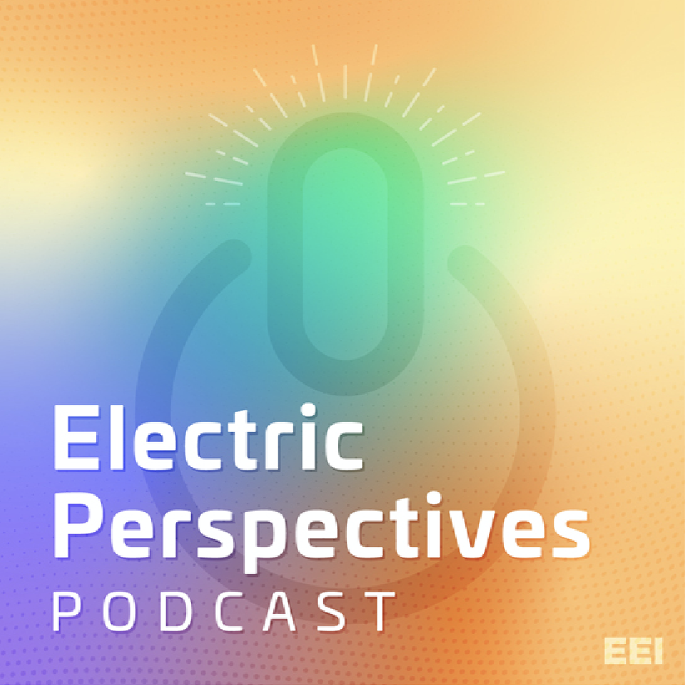 Electric Perspectives