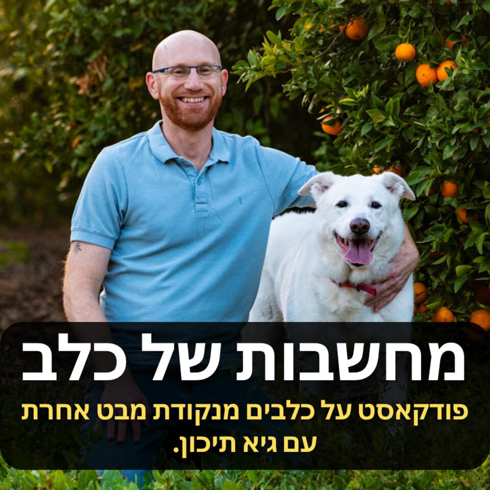 ”מחשבות של כלב”