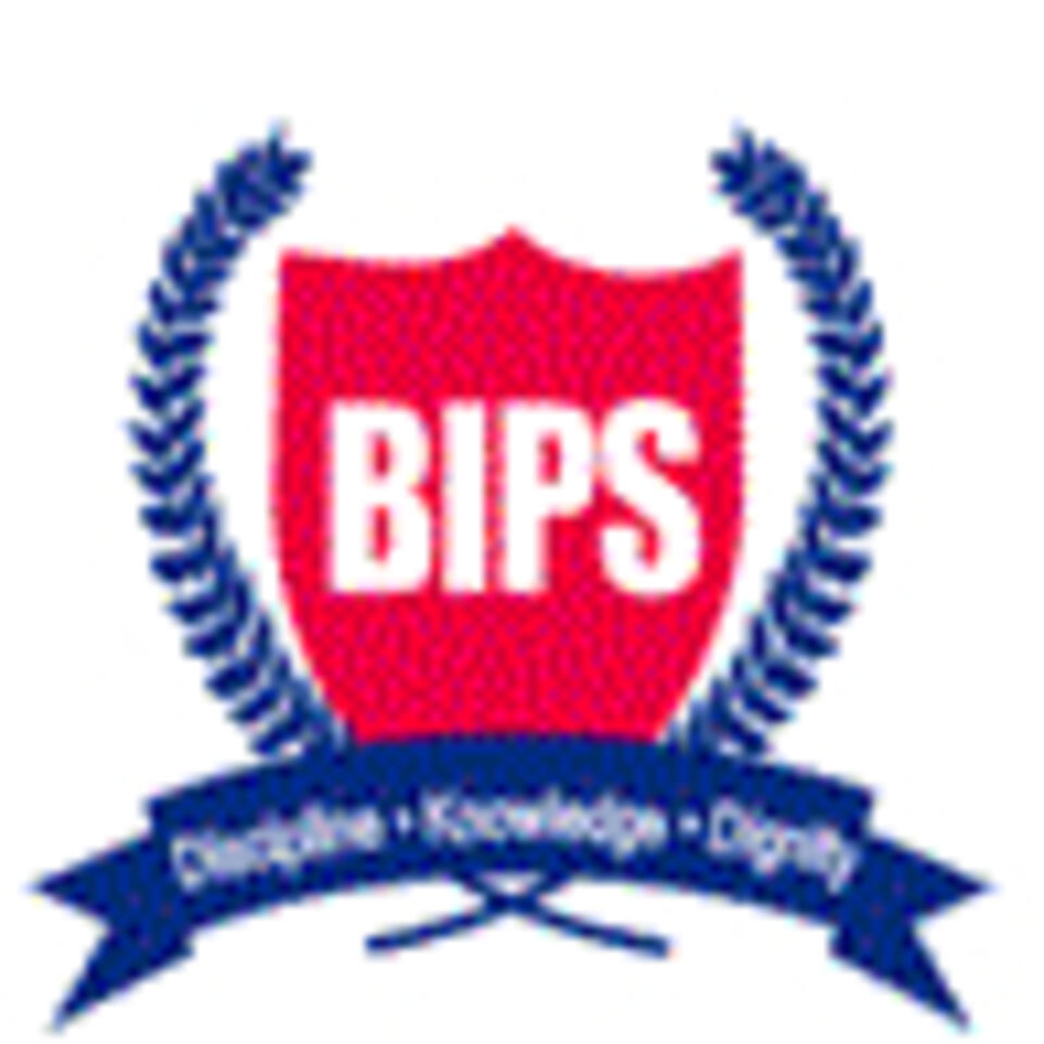 Bhupindra International Public School