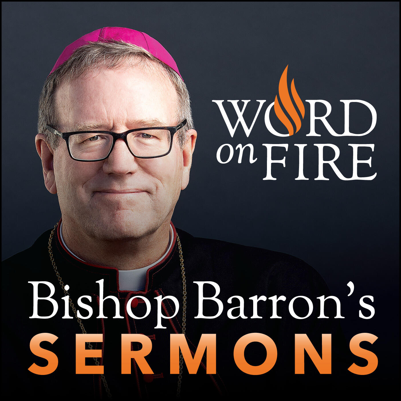 Into the Cacophony of Sin Robert Barron’s Sermons Catholic
